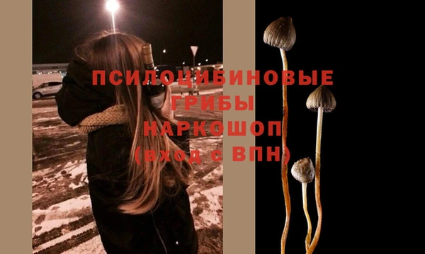 амф Алексин