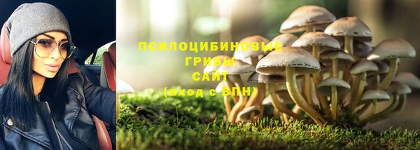 амф Алзамай