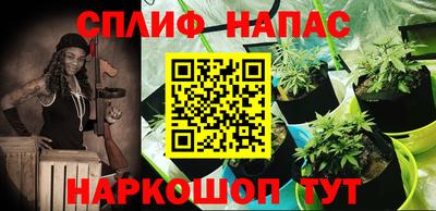 спиды Краснознаменск