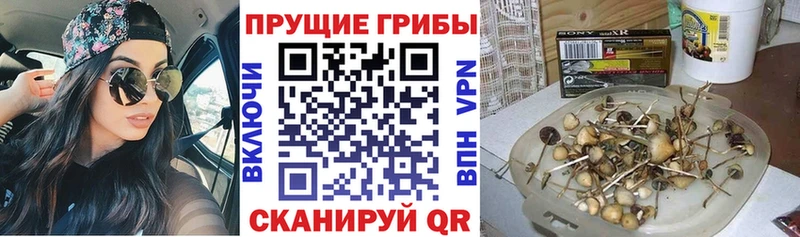 Галлюциногенные грибы ЛСД  hydra ссылка  Канаш 
