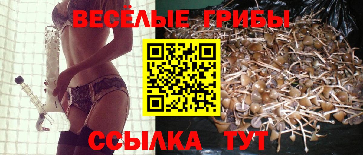 Галлюциногенные грибы Cubensis  Галлюциногенные грибы Cubensis  Канаш  Вход с VPN 